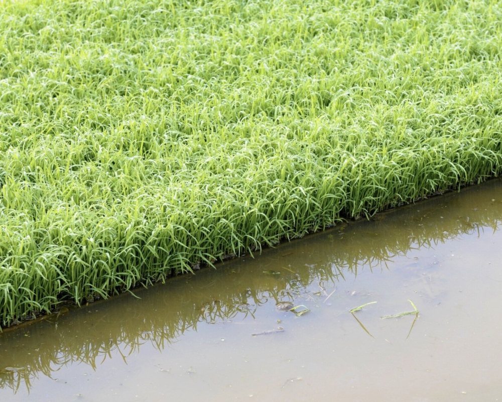 스크린샷 2025-09-04 오후 10.52.47 스크린샷 2025-09-04 오후 10.52.47